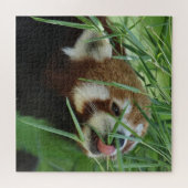 Puzzle RedPanda 2020-03-03 (Horizontal)
