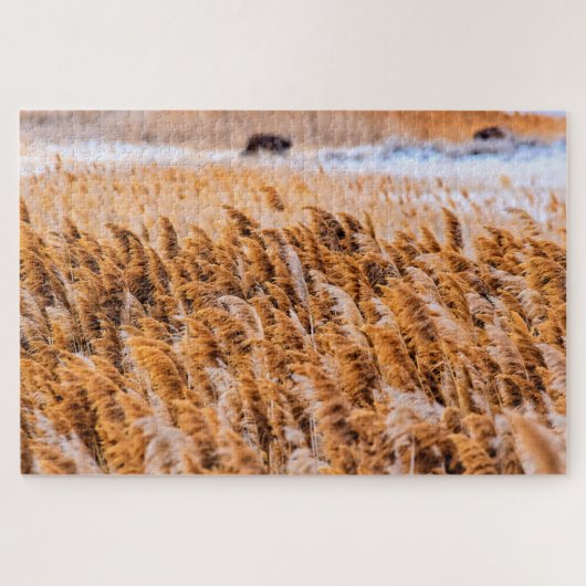 Puzzle Reeds of Antelope Island, Utah - 20x30 - 1014 pcs. (Horizontal)