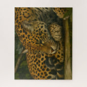Puzzle Reflet Jaguar - Serene Wildlife Art Print (Vertical)