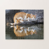 Puzzle Réflexion de chat dans l'eau de l'étang, Jeu (Horizontal)