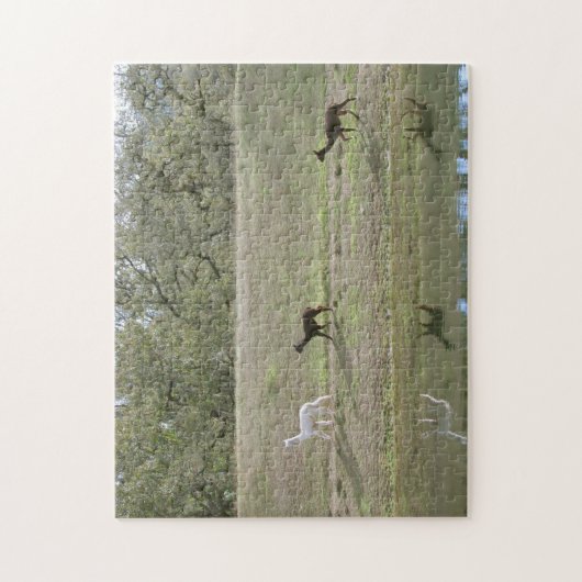 Puzzle - Réflexions d'Alpaca (Vertical)