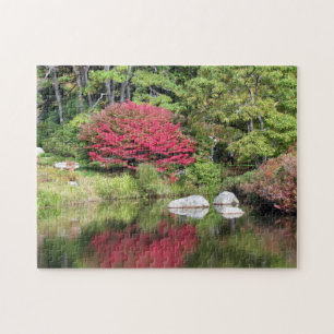 Puzzle Réflexions dans le jardin Azael - Nouvelle-Anglete