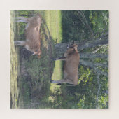 Puzzle Refroidissement des vaches de campagne (Horizontal)