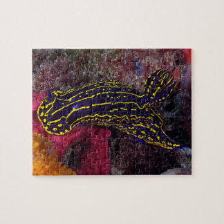 Puzzle Regal Sea Goddess Nudibranche Felimare picta