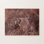 Puzzle Regard de guépard (Horizontal)
