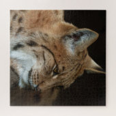 Puzzle Regard intense : Gros plan d'un Lynx (Horizontal)