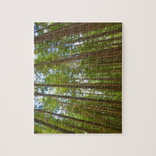 Puzzle Regard sur la forêt ancienne (Vertical)