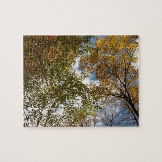 Puzzle Regard sur les feuilles d'automne II Automne Natur (Horizontal)