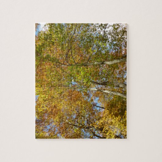Puzzle Regard sur les feuilles d'automne III Foliage colo (Vertical)