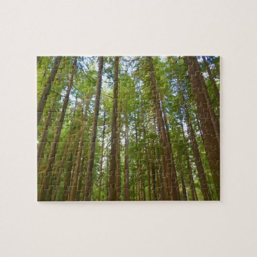 Puzzle Regard vers la forêt ancienne (Horizontal)