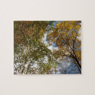 Puzzle Regardant les feuilles d'automne II Nature automna