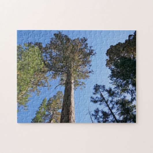 Puzzle Regardant vers Mariposa Grove (Horizontal)