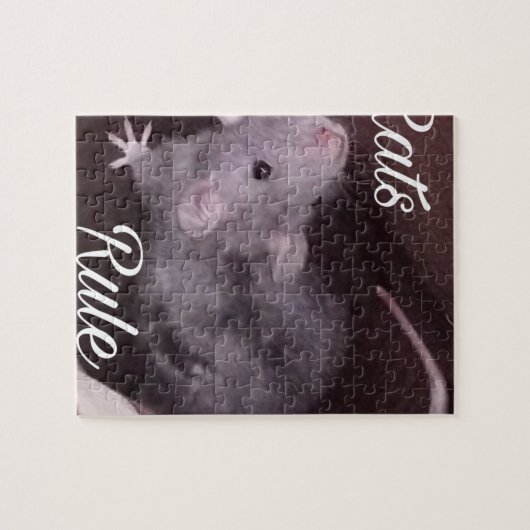 Puzzle Règle de rats (Horizontal)