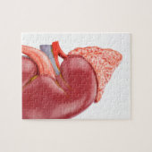 Puzzle Rein humain modèle dehors (Horizontal)