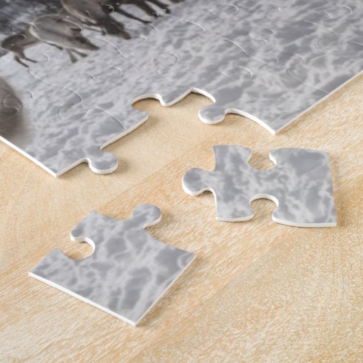 Puzzle Reinder (Côté)