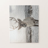 Puzzle Reinder (Vertical)