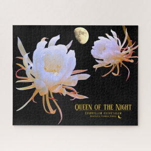 Puzzle Reine de la nuit