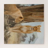 Puzzle Reine Lionne (Horizontal)