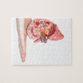 Puzzle Remettez montrer le modèle avec à l'intérieur de (Horizontal)