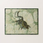 Puzzle Remonter le crapaud dans l'eau (Horizontal)