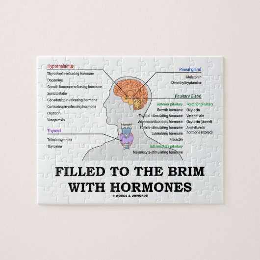 Puzzle Rempli au bord d'humour Médicale d'hormones (Horizontal)