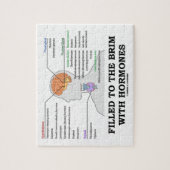 Puzzle Rempli au bord d'humour Médicale d'hormones (Vertical)