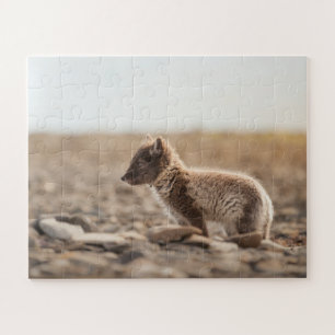 Puzzle Renard arctique