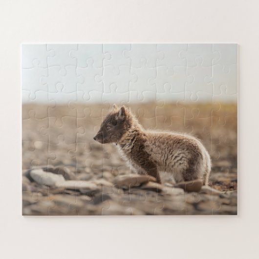 Puzzle Renard arctique (Horizontal)
