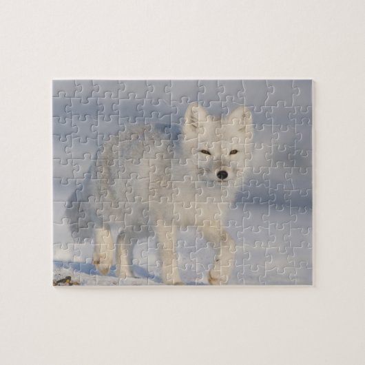 Puzzle Renard Arctique, Alaska (Horizontal)