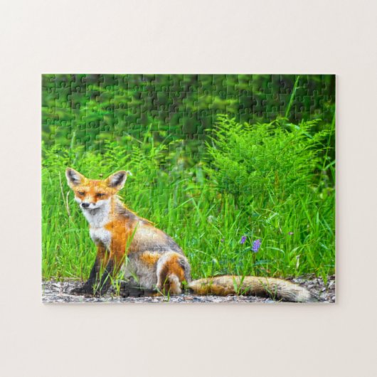 Puzzle Renard canadien (Horizontal)
