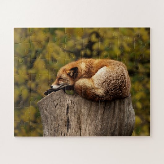 Puzzle Renard mignon dormant Faune (Horizontal)