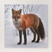 Puzzle Renard rouge en hiver (Vertical)