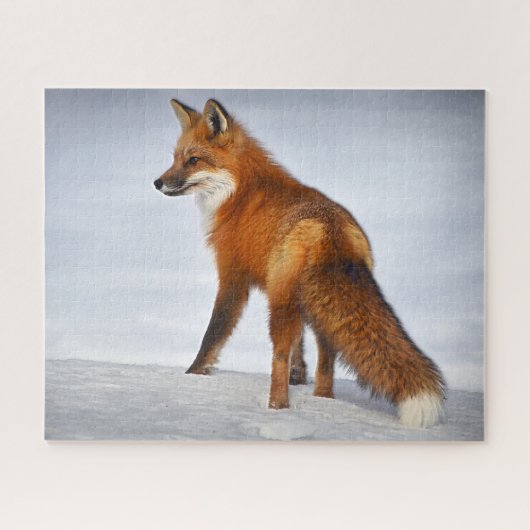 Puzzle Renard rouge en hiver (Horizontal)