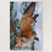 Puzzle Renard rouge | Neige en hiver, Montana (Vertical)