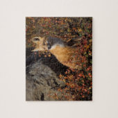 Puzzle renard roux, Vulpes vulpes (Vertical)