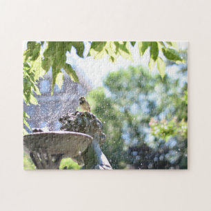 Puzzle Rendre Splash Bird Bath Conservatory Garden NYC