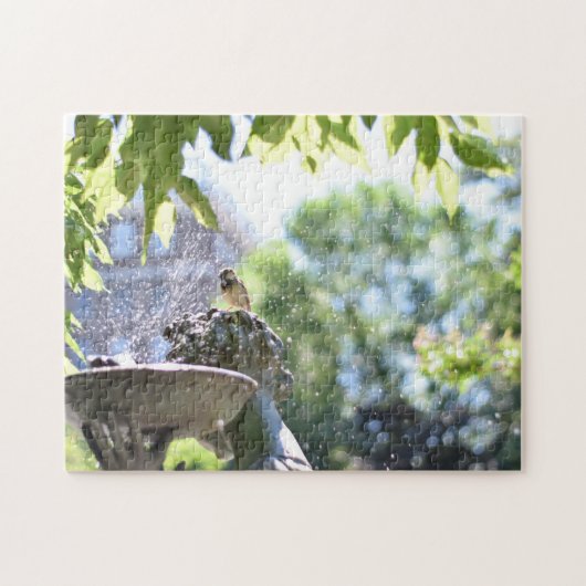 Puzzle Rendre Splash Bird Bath Conservatory Garden NYC (Horizontal)