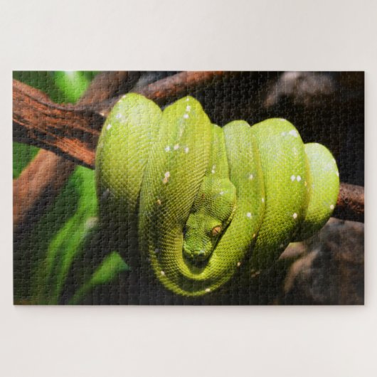 Puzzle Repaire de serpent vert (Horizontal)