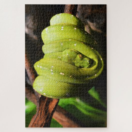 Puzzle Repaire de serpent vert (Vertical)