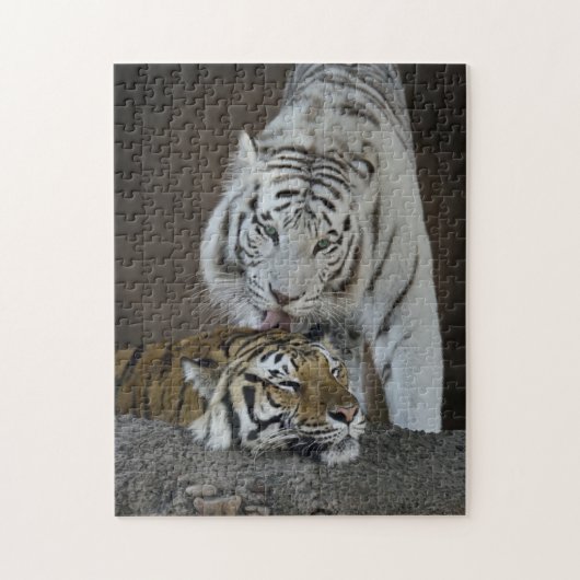 Puzzle Repos blanc et Brown de tigres (Vertical)