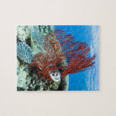 Puzzle Repos de tortue de mer (Horizontal)