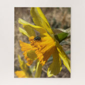 Puzzle Repose En Vol Sur La Photo De Gros Plan De La Daff (Vertical)