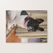 Puzzle reposer 3 bulldog.png français (Horizontal)