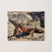 Puzzle Reptile (Horizontal)