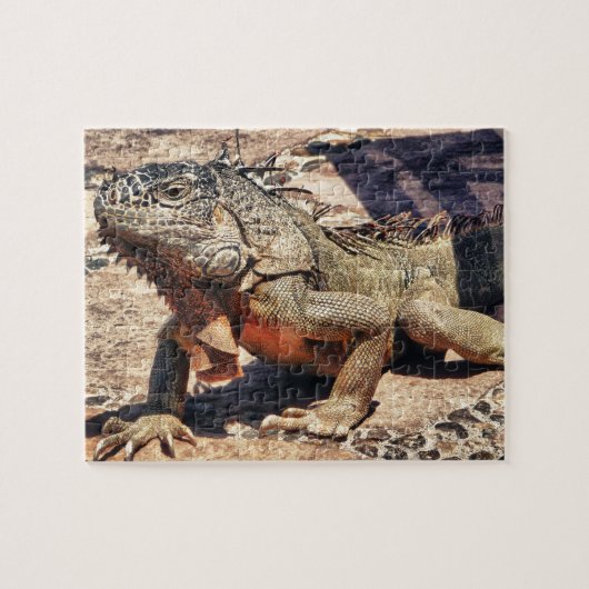 Puzzle Reptile (Horizontal)
