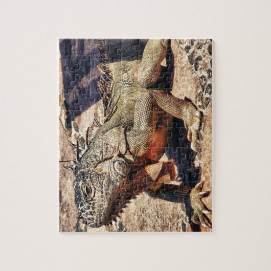 Puzzle Reptile (Vertical)