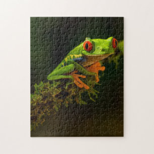 Puzzle Reptile de grenouille exotique d'été vert aux ye