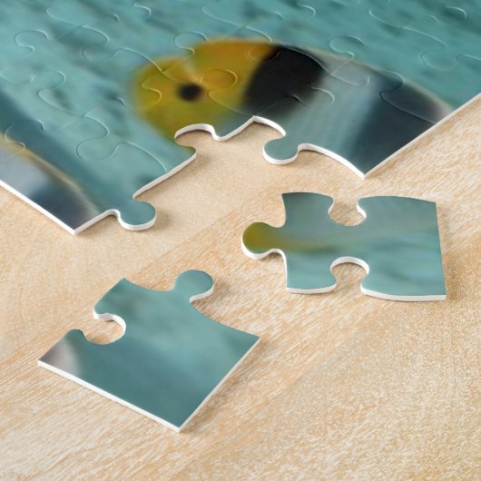 Puzzle Requin chassant des poissons dans la lagune (Côté)