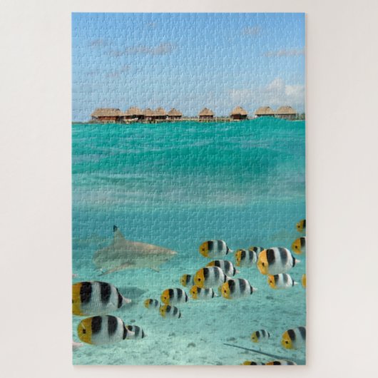 Puzzle Requin chassant des poissons dans la lagune (Vertical)