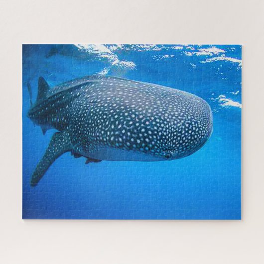 Puzzle Requins baleines (Horizontal)